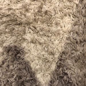 Meet your Posher, Jonah